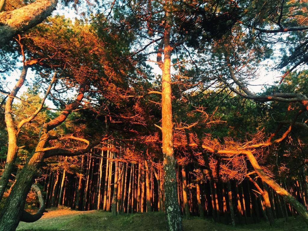 Juros Brizas Palanga Exterior foto